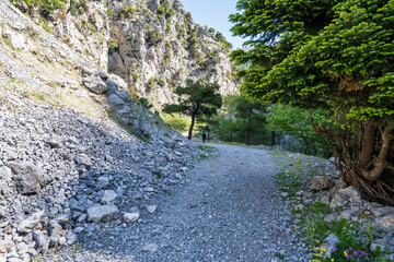 Lone hiker ascending sunlit Agali Gorge trail