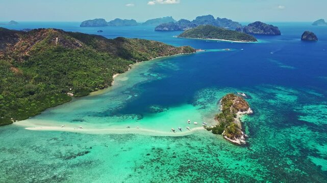 Snake island in the Philippines