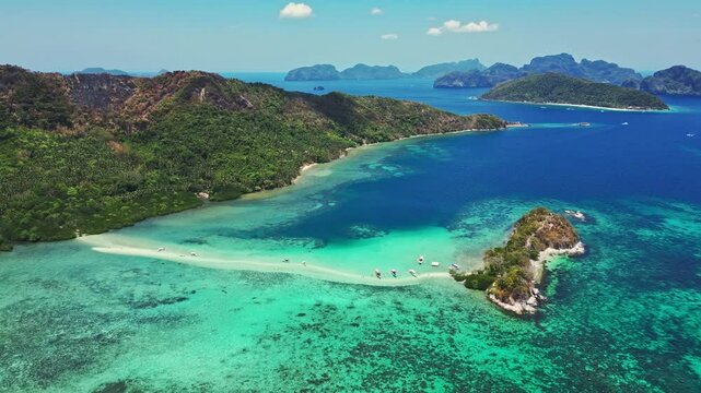Snake island in the Philippines