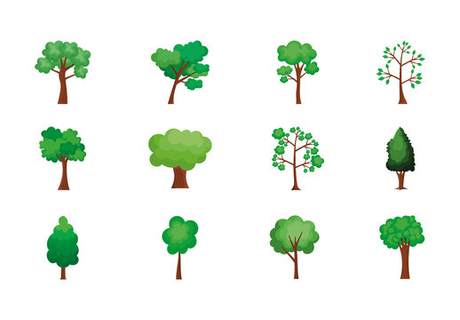 Green Tree Nature Leaves Forest Plants Illustrations Set