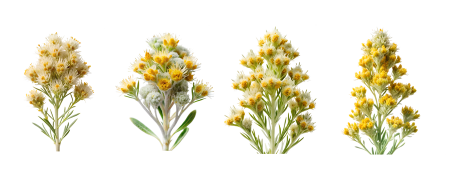 Sagebrush Flower Bundle