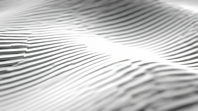 Abstract monochrome waves formed by parallel black and white lines create a captivating digital pattern and texture, perfect as a dynamic background.