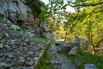 Lone hiker ascending sunlit Agali Gorge trail