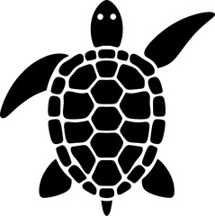 Obraz premium Turtle on transparent backgruond