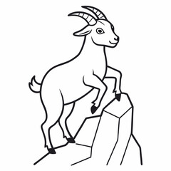 black and white goat