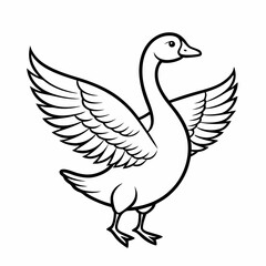 duck isolated on white