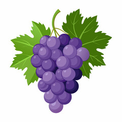 bunch of grapes isolated on white background