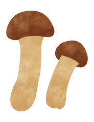 Fototapeta premium 手書き風松茸（マツタケ/野菜）