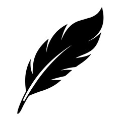 Obraz premium Elegant black feather with intricate details, floating against a pristine white backdrop
