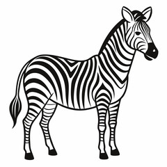zebra vector illustration