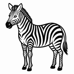 zebra vector illustration