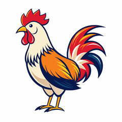 rooster isolated on white background