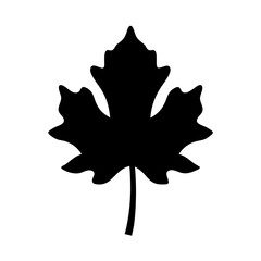 Black Silhouette of a Canadian Maple Leaf Against a White Background