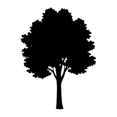 Black silhouette of a deciduous tree with dense foliage on white background