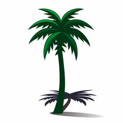 palm tree silhouette