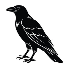Crow silhouette vector art illustration