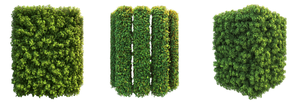 Set of various boxwood hedges top view 3d game style isolated on transparent background