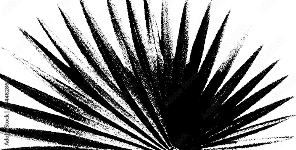 Poster high contrast palm leaf abstract in black and white for bold design projects