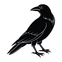 Crow silhouette vector art illustration