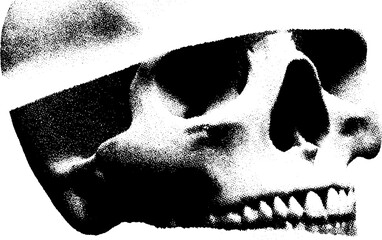 High contrast black and white skull silhouette for abstract design