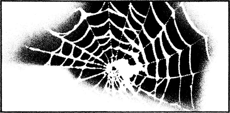 High contrast black and white spider web fragment for artistic print design