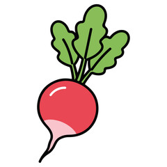 Radish vector illustration, simple design