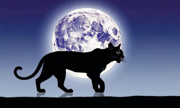 A sleek black panther silhouette against the backdrop of a luminous full moon at night.