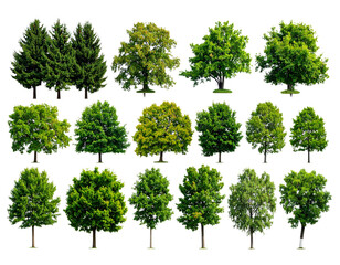 set of trees isolated