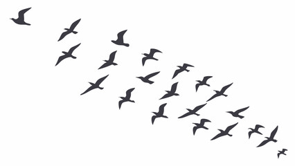 Fototapeta premium A flock of birds flying in formation against a white background creating a sense of freedom and movement