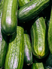 Fresh bright green color cucumbers background