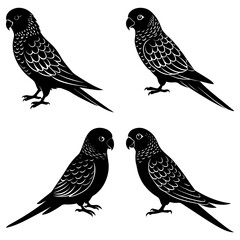 Fototapeta premium Four stylized black parrots with detailed feather patterns arranged symmetrically on a white background