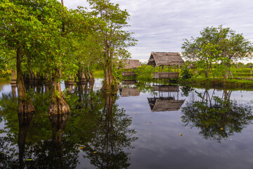 Obraz premium the beauty of Indonesia with mangrove forests and beaches at sunset