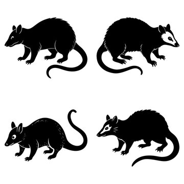 Four black and white opossum silhouettes in various poses on a white background illustration art