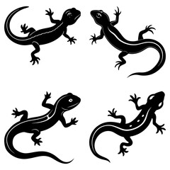 Four black lizard silhouettes with curled tails and small feet on a white background illustration art