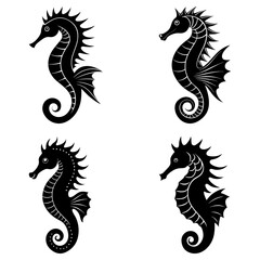 Fototapeta premium Four stylized seahorses in black silhouette with unique fin and spine designs on a white background