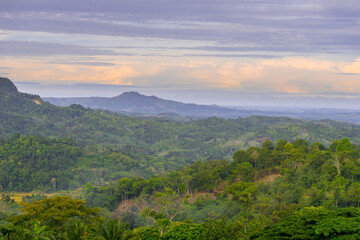the beauty of Indonesia with mangrove forests and beaches at sunset