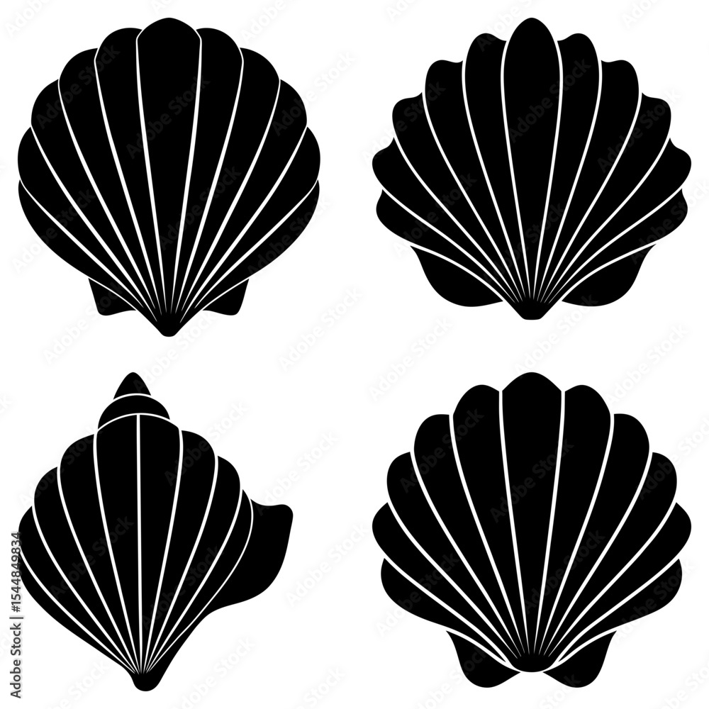 Poster four seashells in black and white with different shapes and textures arranged in a square pattern