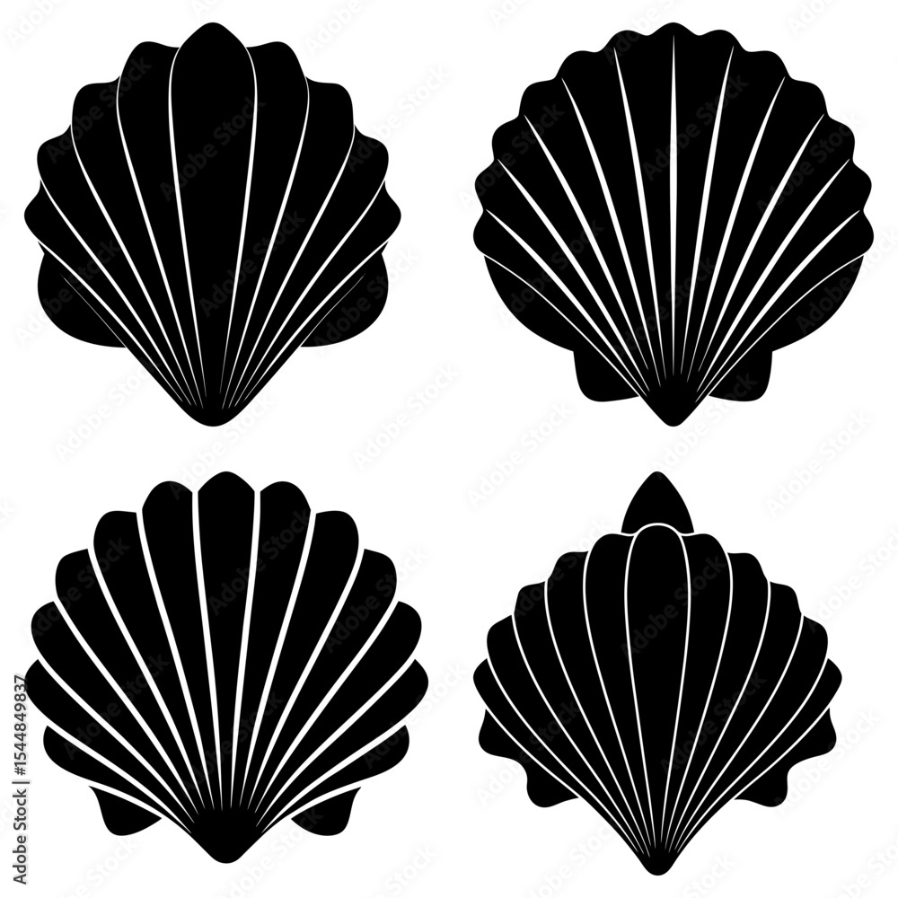Poster four black and white seashell illustrations with different patterns and shell shapes displayed toget