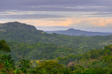 the beauty of Indonesia with mangrove forests and beaches at sunset