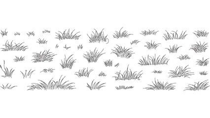 Realistic grass set in detailed black line drawing