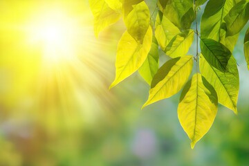 Bright sunbeams pierce through lush green leaves