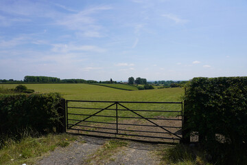Fototapeta premium A peaceful rural landscape with a metal gate and grazing sheep under a bright summer sky in England.