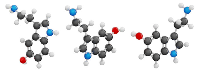 Serotonin isolated on transparent background. Set of views presenting detailed 3D model of the neurotransmitter molecule. Molecular formula: C10H12N2O. Chemical model: Ball and Stick. 3d illustration