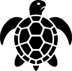 Obraz premium turtle on a transparent background
