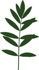 Dark Green Leaf Silhouette Botanical Illustration of a Sprig