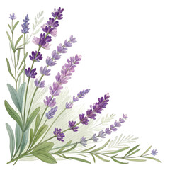 A delicate watercolor illustration of lavender flowers arranged in a corner is isolated on transparent background, ideal for adding a touch of elegance to your designs