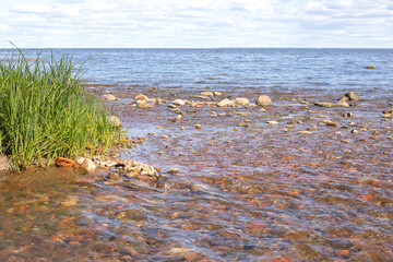 A rocky shoreline with a body of water in the background. The water is calm and the rocks are scattered throughout the area