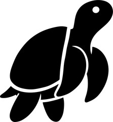 turtle isolated on transparent