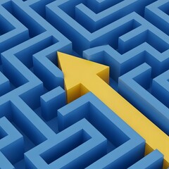 Navigating the Complexities A Conceptual Maze and the Path to Success