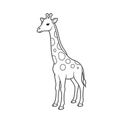 Fototapeta premium Black Line Drawing Giraffe Spots Standing Line Art
